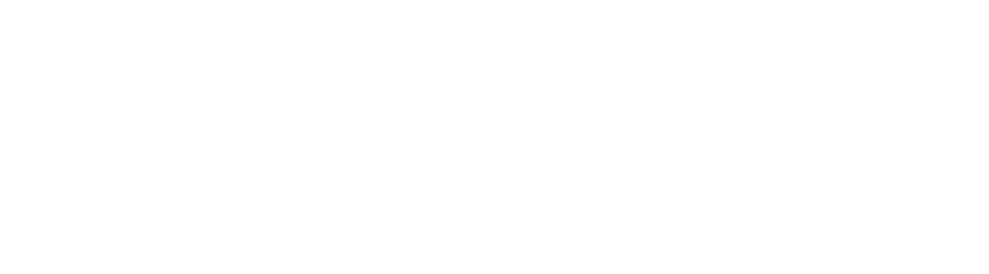 cropped cropped videoloty logo na strone.png